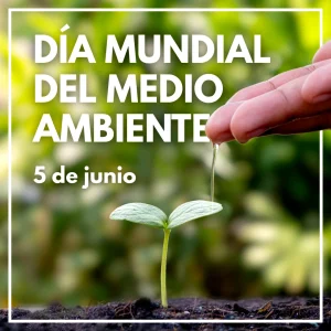Post de Instagram Día Mundial del Medio Ambiente Creativo Verde